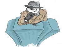 合作市取证公司解说第三者承担离婚赔偿责任吗